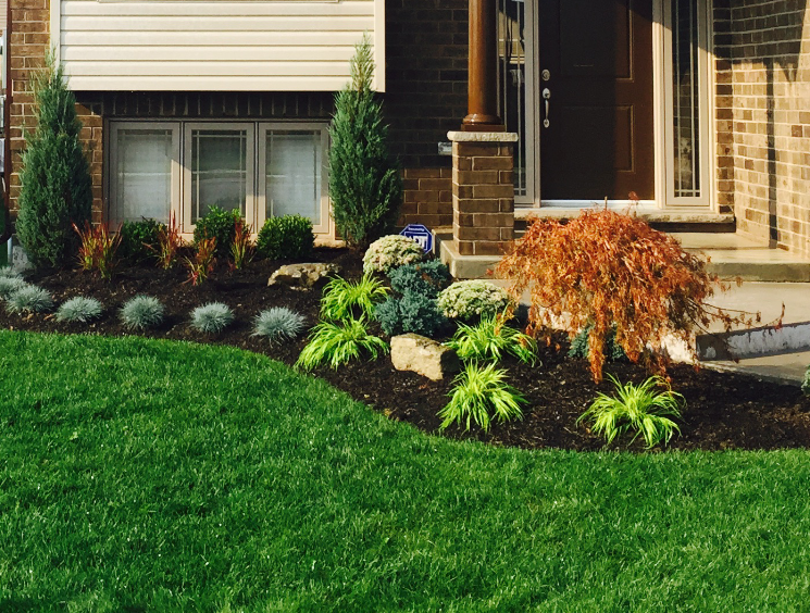 CHECK OUT OUR WEBSITE FOR OUR SERVICES!!!
#landscaping #renovations #propertymanagment 
289-296-2449 GIVE US A CALL!!