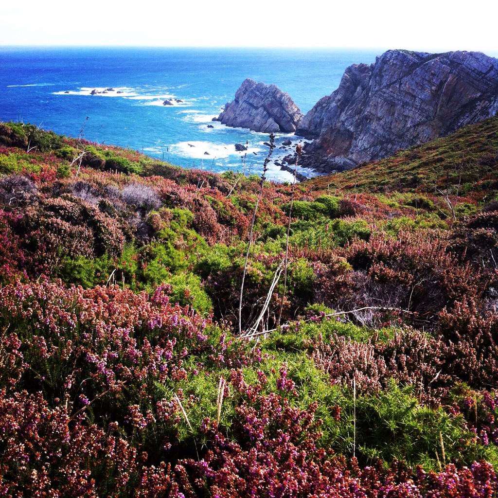 bc_74's tweet photo. #Asturies #ElNorteDelNorte #CaboPeñas #IslaErbosa http://t.co/DrGNFSQlxo