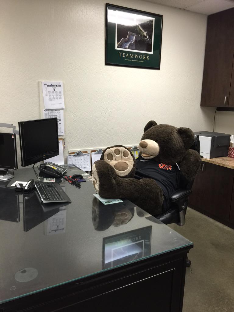 Qfresh5's tweet photo. @CostcoBear @CostcoToday when the Cats away the Costco Bear gets to play!😁 #142 Merced #SafetyWeek2015 ❤️ http://t.co/Fa28pUncQj