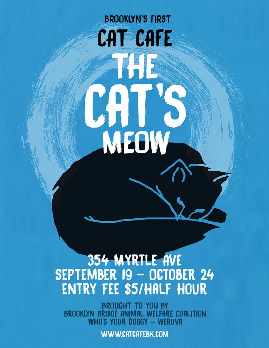 UncagedNY's tweet photo. Lint rollers will be provided at Brooklyn's first cat cafe! Opens 9/19. 354 Myrtle. http://t.co/X8bSPArpXm @CatCafeBK http://t.co/0NznaM2HKn