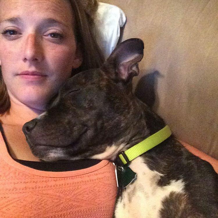 Why is this dog is smiling? @mix96buffalo listener Jill Graap #adopted her after #WetNoseWednesday <a href="/CBASpets/">BuffaloAnimalShelter</a> <a href="/VVCofH/">VVC of Hamburg</a>