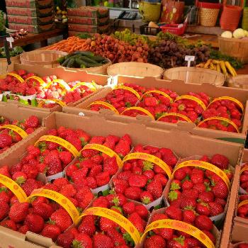 BobDesautels's tweet photo. "Knowledge is knowing that a tomato is a fruit. Wisdom is knowing not to put it in a fruit salad." http://t.co/4dyMvQRzzh