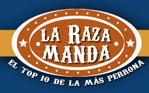 bandolera1410's tweet photo. Llegamos al LUGAR DE HONOR #1 @PequenosMusical con "Perdón" http://t.co/wgDnzvGOLz