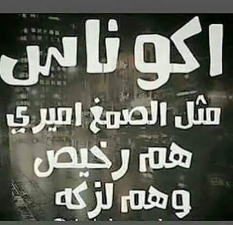 malaak (@malaak94559449) on Twitter photo 