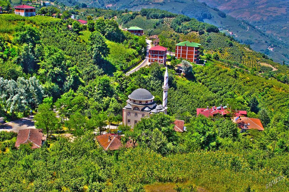 planetdoga's tweet photo. Yeşillik cenneti Ordu.. http://t.co/g6kifmhJfS