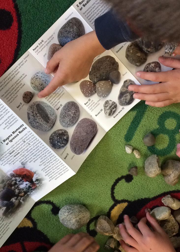 ClaireKreuger's tweet image. Classifying rocks from the school yard. #Gr4Science