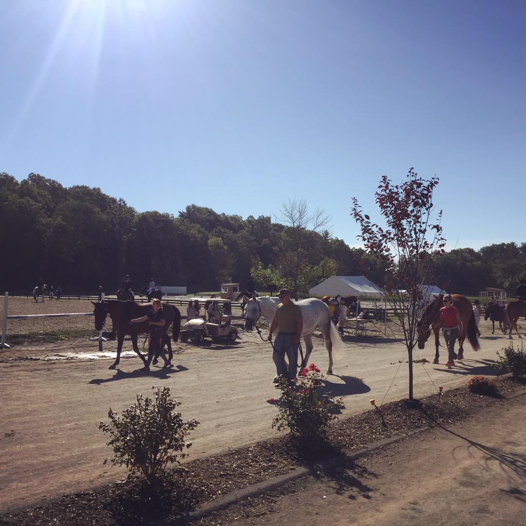 NEDAPress's tweet photo. Good morning from #NEDAfall ☀️ Have a great show everyone!! #nedadressage #dressage #horseshow #horseshowlife http://t.co/O197zM2J5B