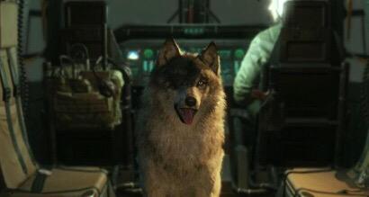 Uzivatel 岡嶋泰子 Na Twitteru Mgsv Tpp Ddが成犬になったps Ps 益々楽し過ぎてやめられない 笑 そして 初めて車輌のフルトン回収に成功した 確かに気持ち良い Http T Co F3heyjjklg