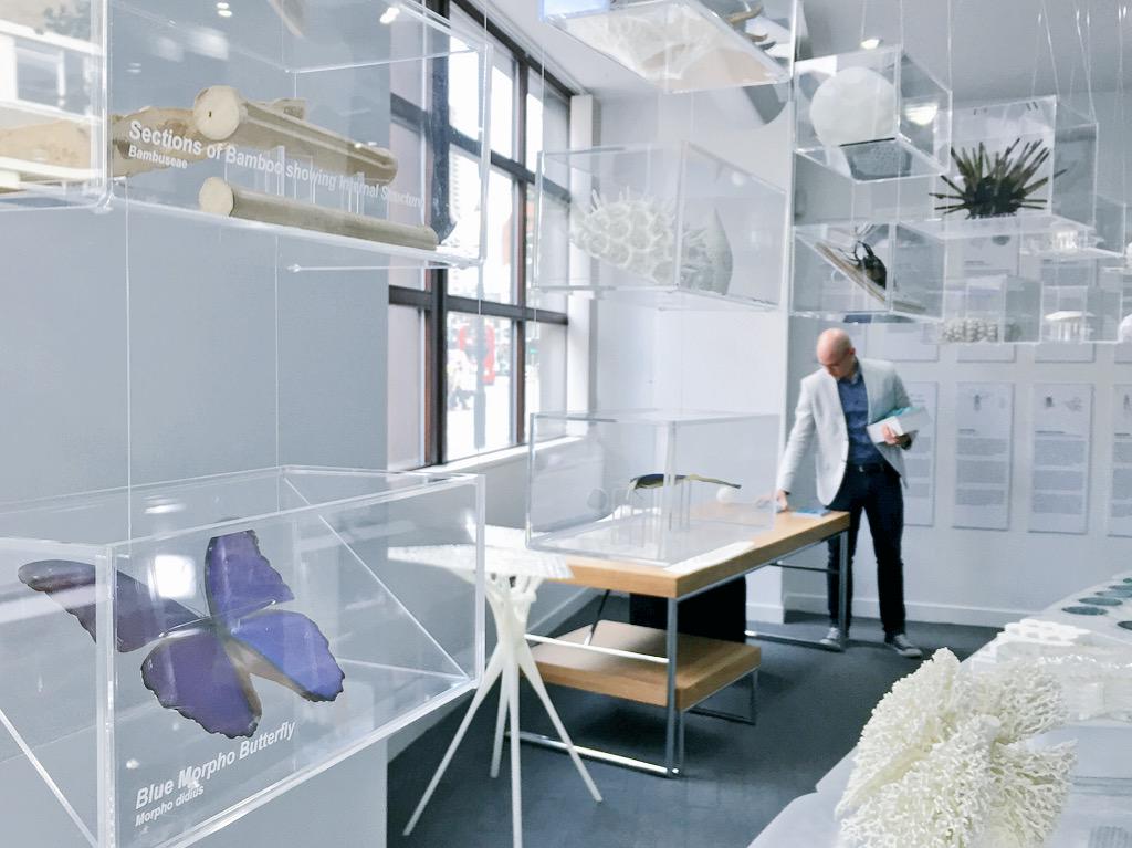 exploration_arc's tweet photo. Yaniv Peer applies finishing touches to the exhibition #designingwithnature #LDF15 #interface2015 http://t.co/Ku0MWEEvbW