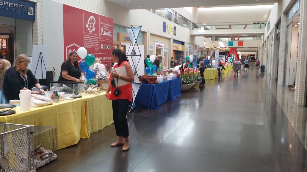 NTxGivingDay's tweet photo. Setting up our #NTXGivingDay event at @NorthParkCenter!  Come &amp; celebrate with us @ 11-2:30! https://t.co/CXMMvkORYg http://t.co/4jDJuBRrnz