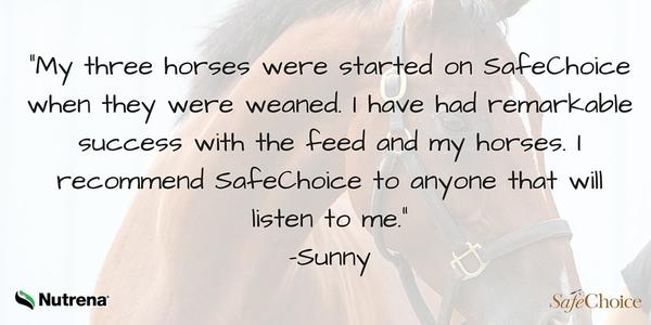 AceFeedAndSeed's tweet photo. Click it to read other reviews left my horse-people just like you. http://t.co/VJv3OUR8xo http://t.co/8hWRiSAPH8
