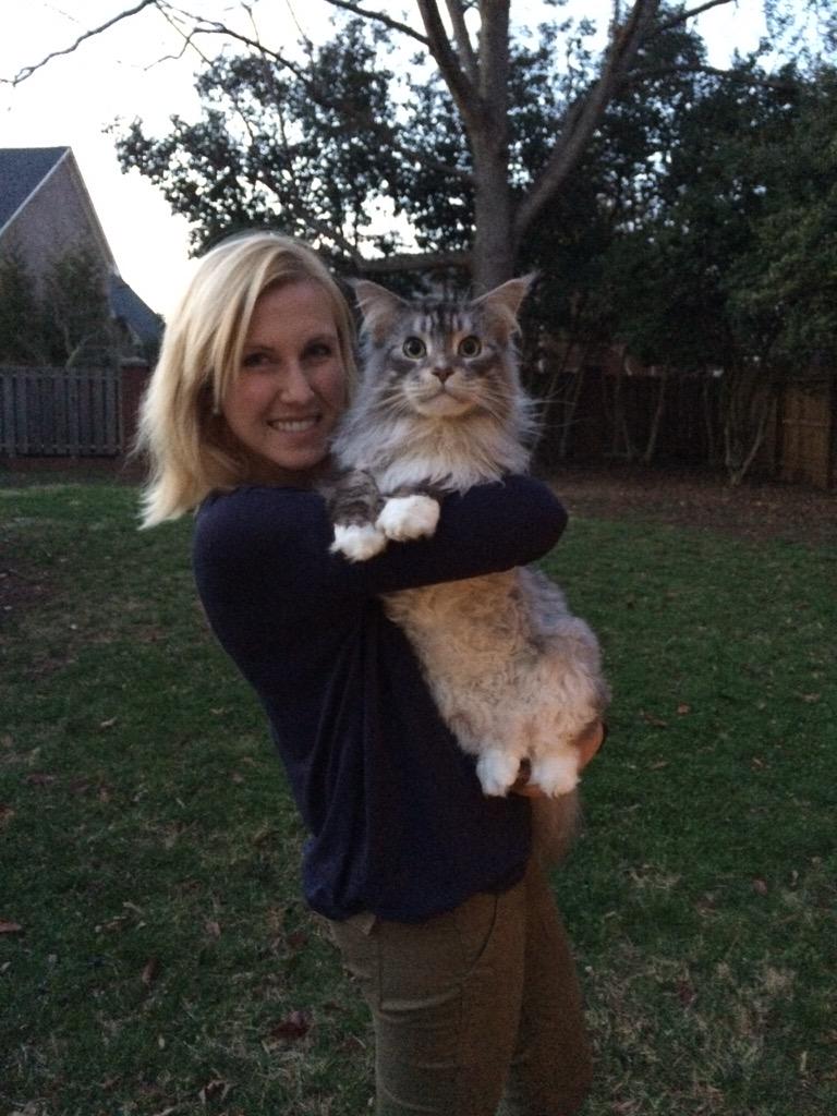 _tommymayes's tweet photo. This pic is surely worth the prize. Recon the family Mainecoon and his momma @carolinabelle92  #FallOfFame http://t.co/TPmAmGehIa