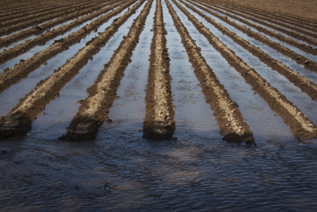 mayasugarman's tweet image. "In CA 100+ years ago, you could make water yours with a note nailed to a tree" #CAwater2040 kp.cc/1NFNQqB