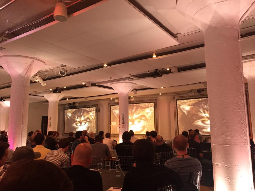 lanarakhman's tweet image. Developers love cats, AMIRITE? #happycoder #WindyCityRails