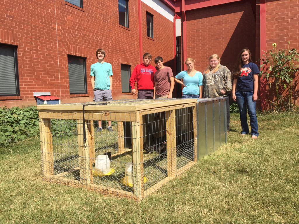 Learn by doing #wearecreekwood