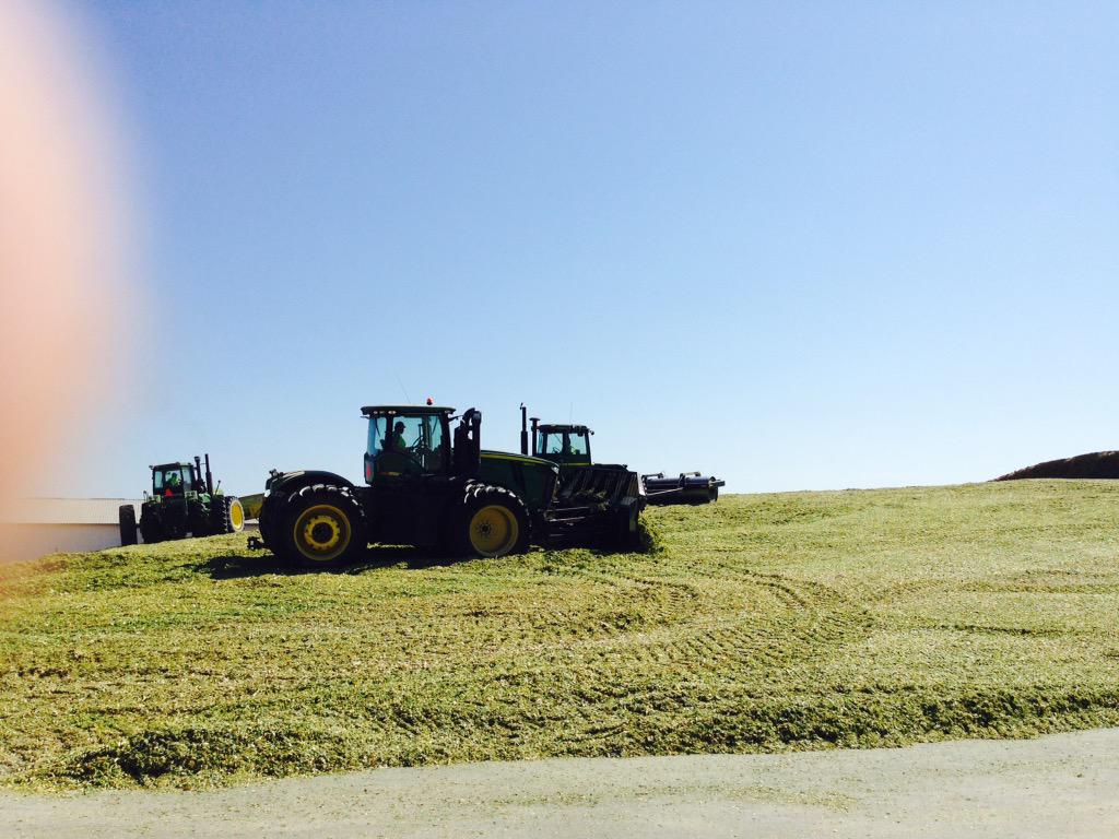 ddsmit13's tweet photo. @ASDK_MN_East silage plot Little Falls Mn #MyFarmMyYield http://t.co/6NZXct5YuH