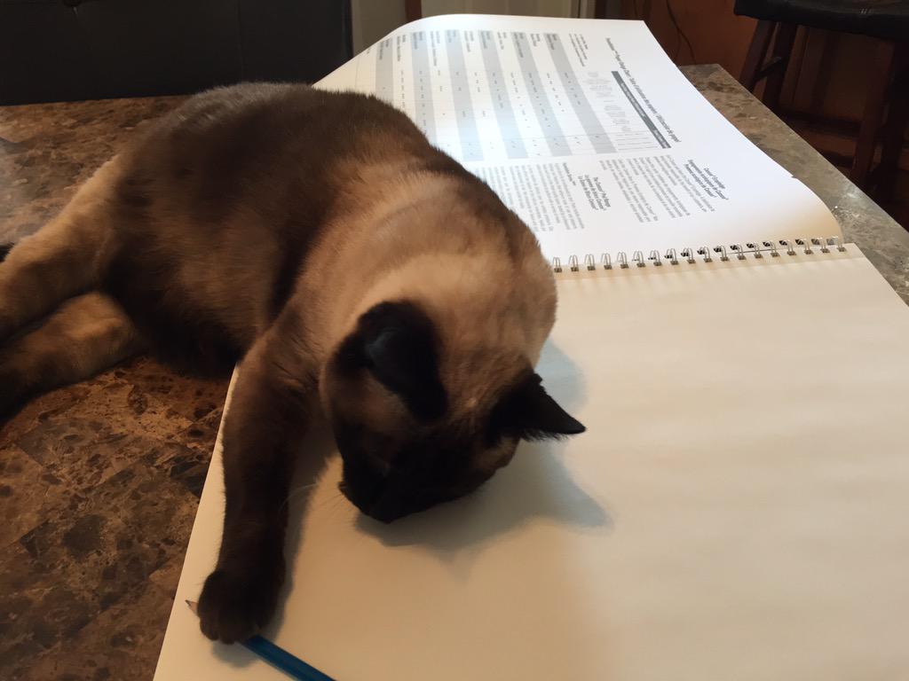 CraigGrenier's tweet photo. Need approval to draw from my assistant #art310 http://t.co/MVl1uJclWF