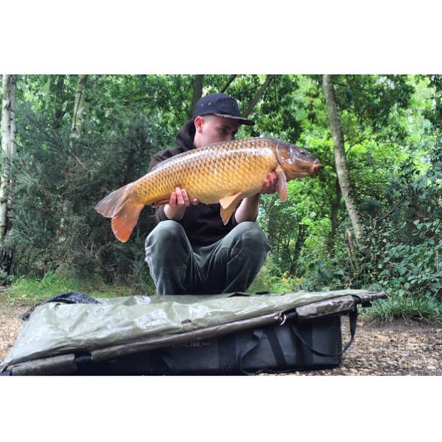 andyroberts95's tweet photo. Nice little gold common @craftycatcher @WOFTEclothing http://t.co/kv9t2mWAdL