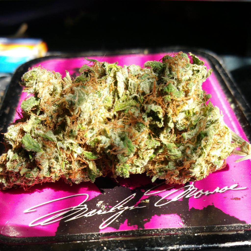 Nice fat bud of frankly Hawaiian! !
