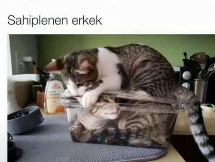 ozgeeylnz's tweet photo. 😎😎😊 (@ Yaliniz's Home) https://t.co/HeIbztE3Og http://t.co/t345A0mW2f