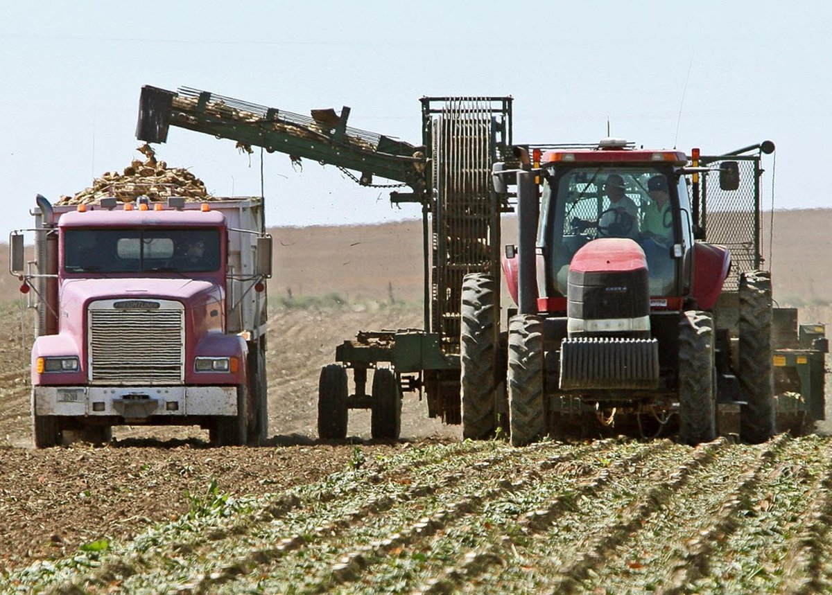 Harvesting sugar beets hasn't changed much in 40 yrs. 1978 by Larry Mayer, 2015 by Bob Zellar. #ThenAndNow