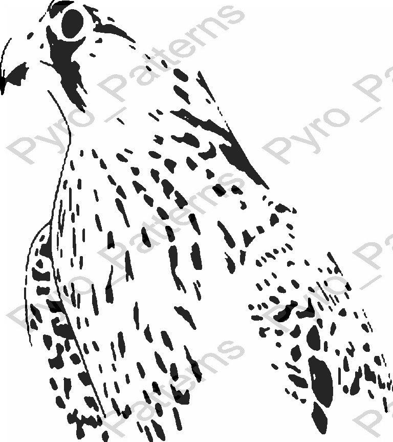 Scotty Blake King on Twitter: "Hawk Bird Pyrography Wood burning Pattern  Printable Stencil Instant Download Pyro_Patterns_birds_0319 by PyroPatter…  http://t.co/x9Zo1E8bTX" / Twitter