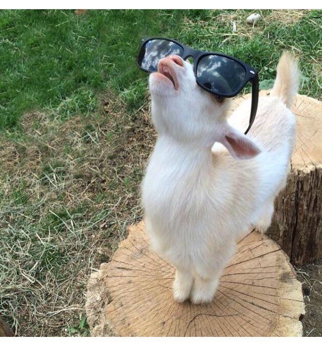 BiggieBasson's tweet image. GOAT verse 🔥🔥🔥🔥 @YoungstaCpt #WayItGo