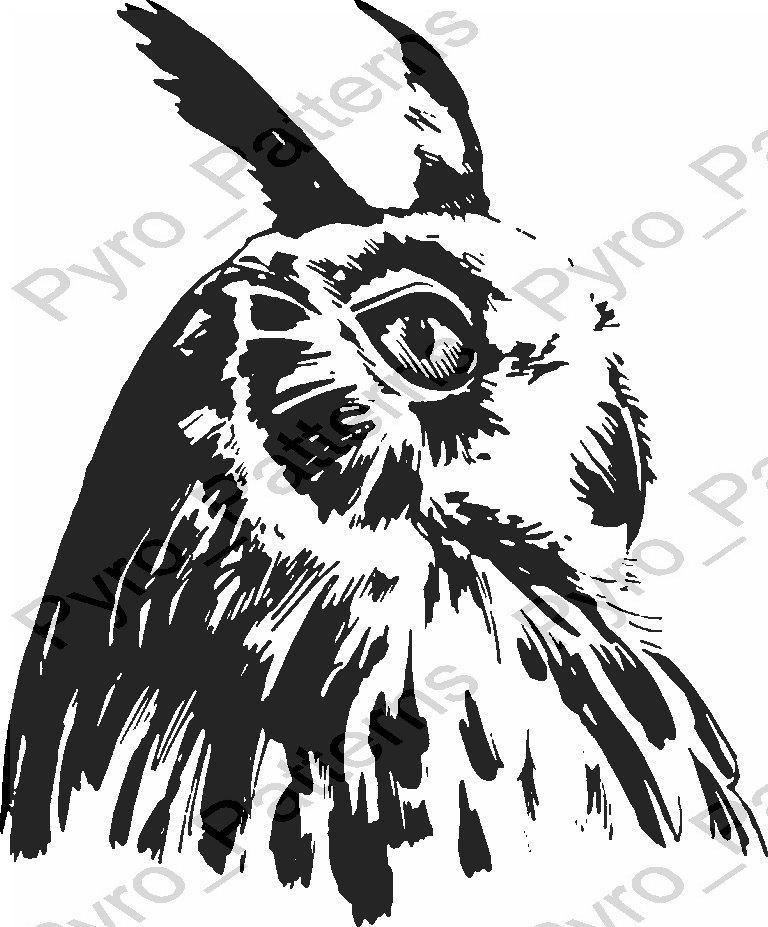 Scotty Blake King على X: scotty-blake-king-x-owl-bird-pyrography-wood-burning-pattern-printable-stencil-instant-download-pyro-patterns-birds-0403-by-pyropattern-http-t-co-022aca7o8f-x