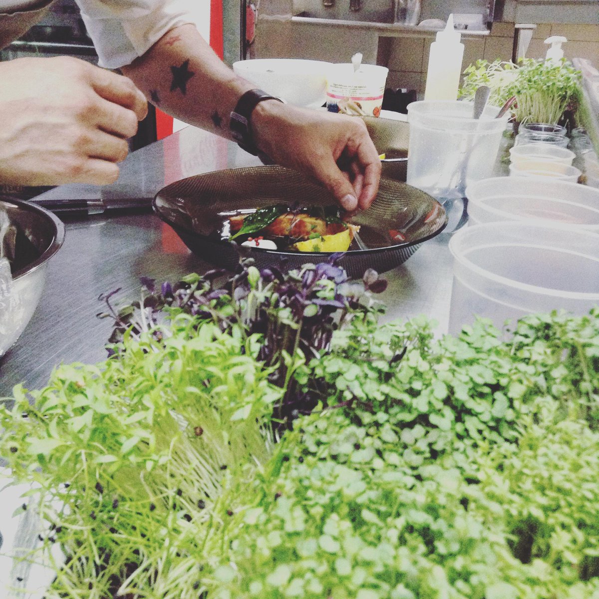 chefbusiness's tweet photo. El bosque en la cocina #microgreens #microverdes @chefbusiness #emplatados http://t.co/V5msvbJvpb