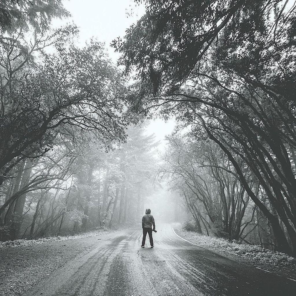 Pacific Snacks tweet media