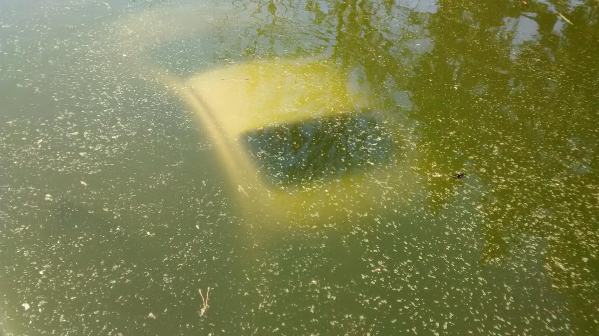 CharleneDClose's tweet image. Pics of car into pool in Etobicoke from @680NEWS listener Vladimir Grbic. Elderly woman appears to be ok.