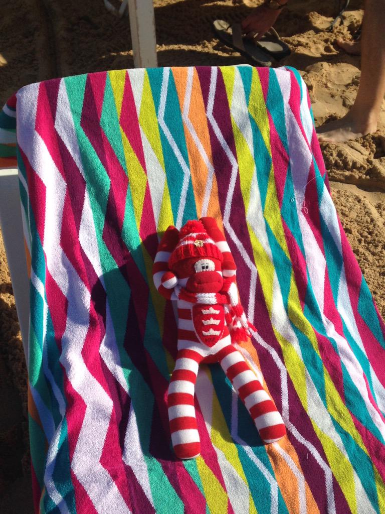 jpurling64's tweet photo. Scorchio!!!!! Need a beer #hotmonkey @JanPurling @Jahmez_HKR http://t.co/wO3zmSYXNp