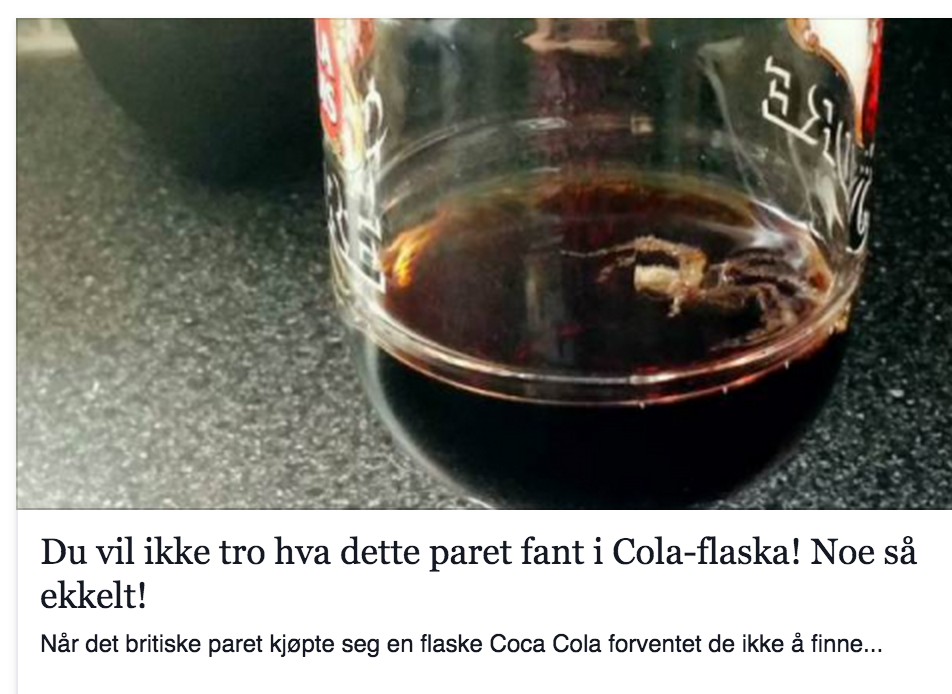 Halvor Harsem tweet media