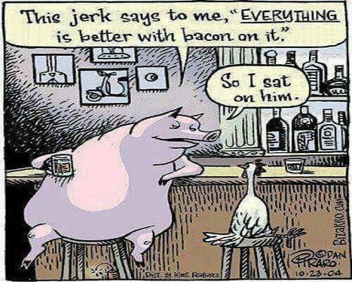 TheLastPigFilm's tweet photo. So a pig walks into a bar... Thanks http://t.co/Ssd1Sxt8GE #thelastpig #pig #support #companssion http://t.co/2KKH8yTGWI