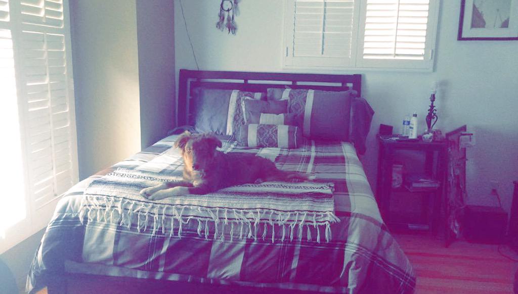 Simba Rivera tweet media