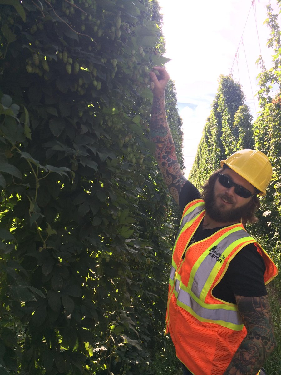 PinthousePizza's tweet photo. More pics from @PinthouseJoe & @tastybeerkiller's trip to #HopFarms in #Washington! #LaverneAndShirley #McKenzieBros http://t.co/MlyZQjpfOw