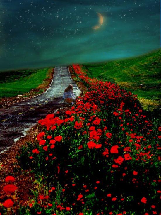 blujay_joan's tweet image. Road of beauty: