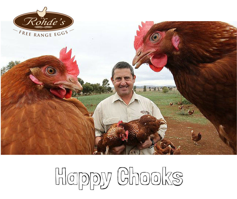 RohdesFreeRange's tweet photo. Happy Chooks! #RohdesFreeRangeEggs #Happy #RSPCAApproved #SouthAustralia http://t.co/VQT4QJrUHM