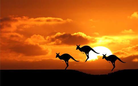 pathwayoz's tweet image. Are you ready to watch the sun set on a hazy day? #pathwayaustralia #life #downunder
