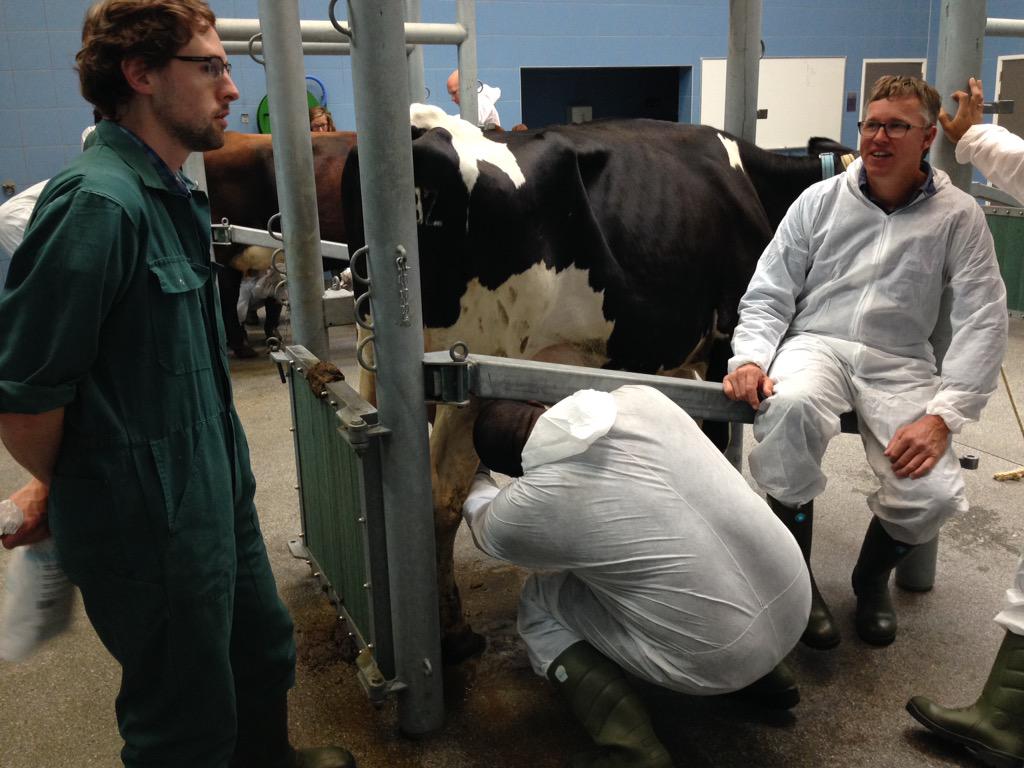 KarinvdToorn's tweet photo. Leuke dag #DDPtraining @FrieslndCampina bij Nutrifeed en faculteit Utrecht. Morgen laatste dag en eindexamen! http://t.co/klYgkdHaY6