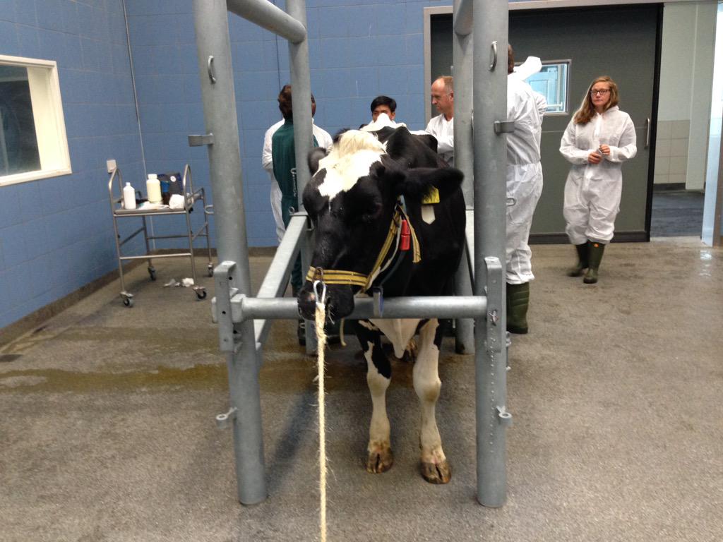 KarinvdToorn's tweet photo. Leuke dag #DDPtraining @FrieslndCampina bij Nutrifeed en faculteit Utrecht. Morgen laatste dag en eindexamen! http://t.co/klYgkdHaY6