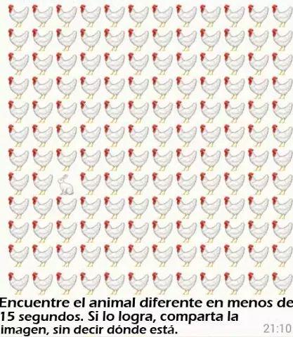 Rafaela0678's tweet photo. http://t.co/cEYFQzLoSr