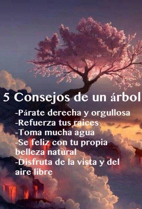 PsicoArbol's tweet photo. http://t.co/MLygraaw02 http://t.co/K90FkPYa95