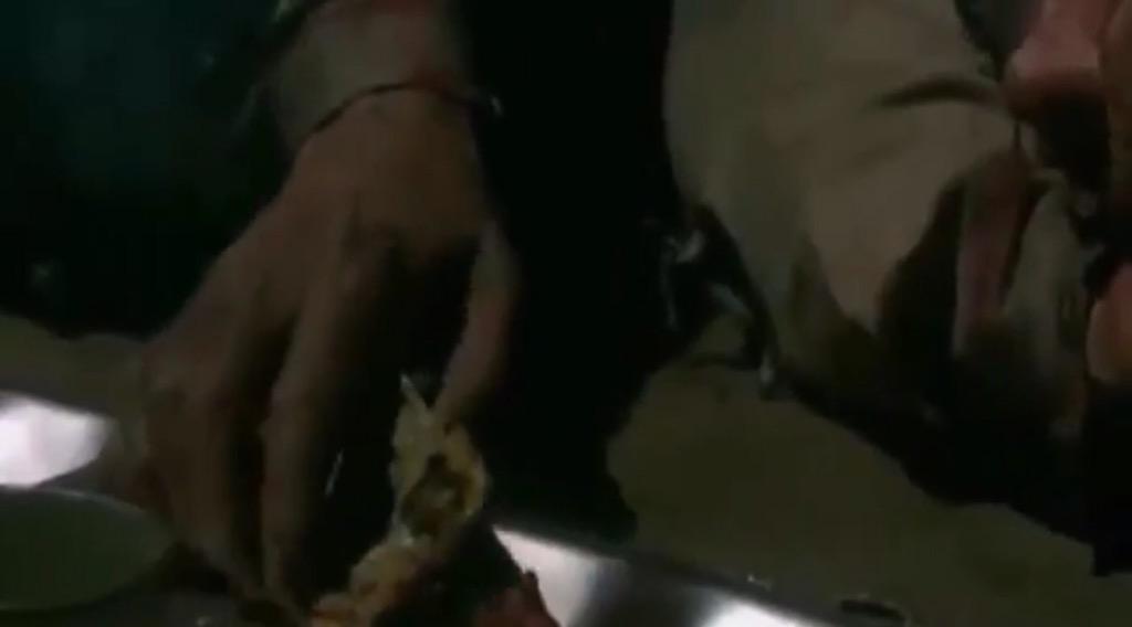 BoHopeFans's tweet image. Poor Bo. I sure hope Steve finds you soon. If not I'm afraid the food might kill you. @peterreckell #BoIsBack