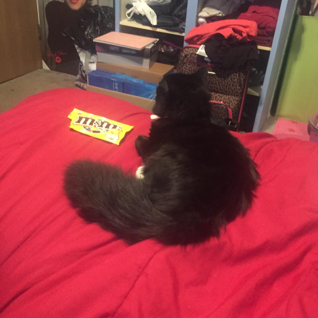 cduncan018's tweet image. Being so broke that you can&apos;t even afford a real bed... or even a dresser... 😓 #REALSTUDENTPROBLEMS @SPC_Card