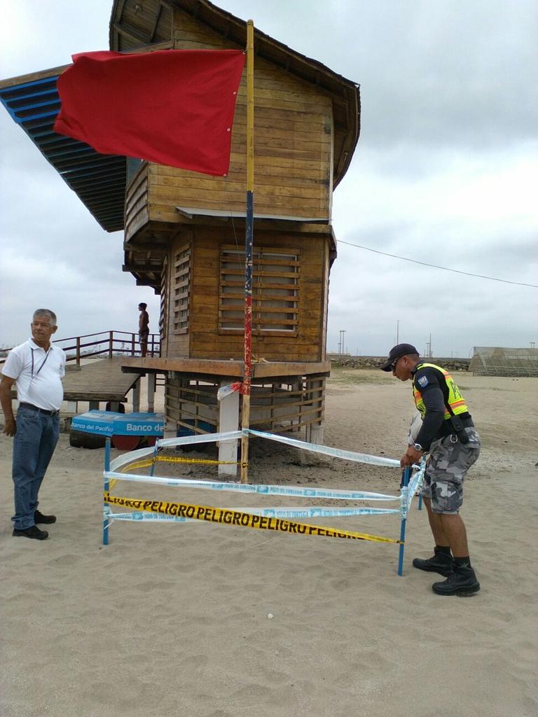 MAEManabi's tweet photo. Gracias al apoyo de ciudadanos comprometidos que se suman a la conservación de nuestra #FaunaMarina  @LorenaTapiaN http://t.co/fZzdDG4jB3