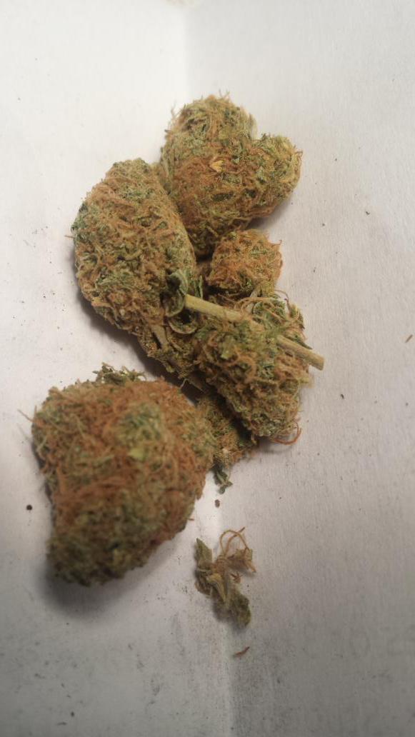 DreadyBoii's tweet photo. #SMOKESESSION time #OGMango #TeamKUSH bout to take off 💨💨💨💨💨✈✈✈✈✈ http://t.co/EoM9L5a5YZ
