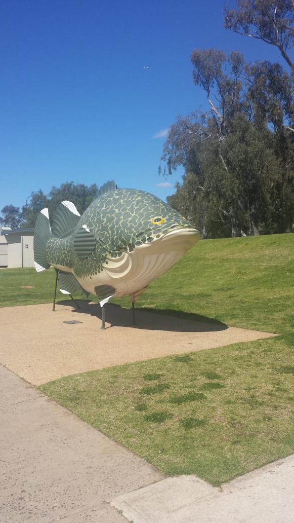 renatacumming's tweet photo. @AParidaen dropped by our fishing spot, time to go fishing soon Neeks? http://t.co/P8Oq1PhV70