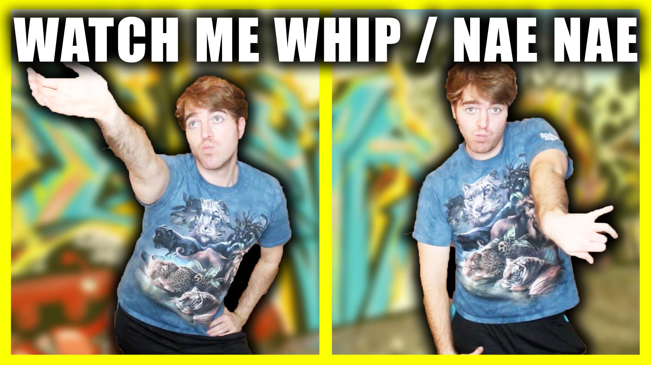 You watch me whip you watch me nae 2025 nae