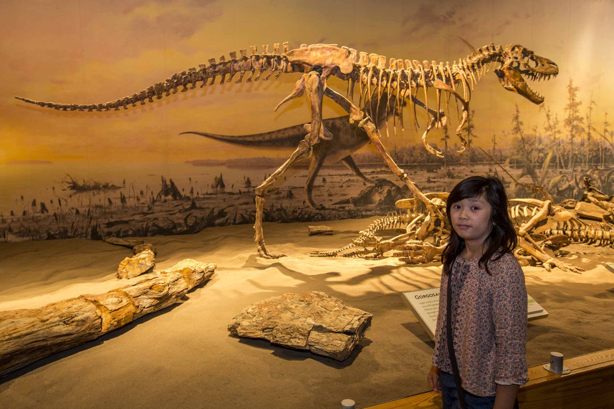 GarciaAlbertoP's tweet photo. Royal Tyrrell Museum@ Drumheller Alberta #dinosaur #Tourismalberta #drumheller #alberta http://t.co/8CMp3k8iaW